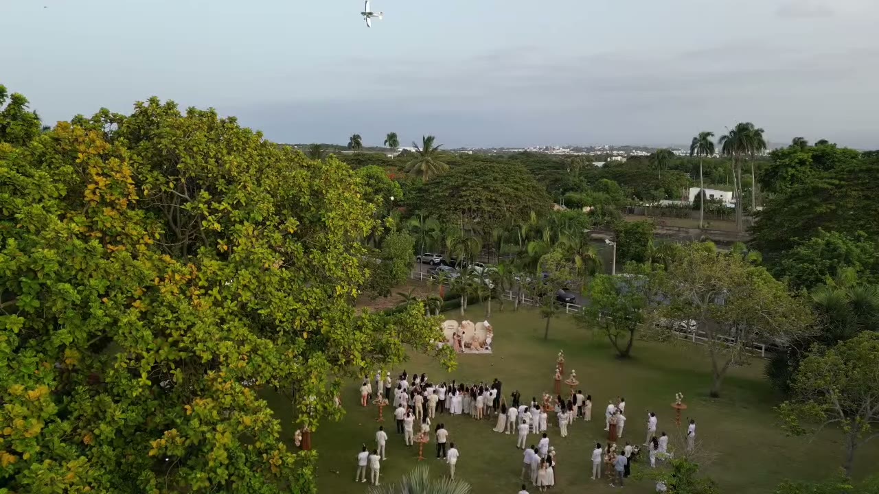 Drone Light
